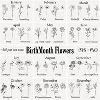 Video thumbnail for Birthmonth Svg Bundle | Flower Svg | Birth Flower Svg| Floral Svg | Botanical Svg | Rose Svg | Daisy Svg| Poppy Svg | Birthday Svg | Svg - Etsy