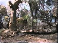 Video thumbnail for Prehistoric Australia Part 2