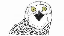Video thumbnail for 36 Random Animal Facts That May Surprise You