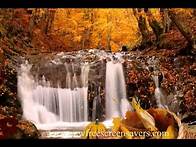 Video thumbnail for Free Thanksgiving Day screensavers nfsWaterfallThanksgiving