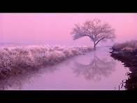 Video thumbnail for Aesthetic Wallpaper HD Free Download For PC Desktop