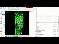 Video thumbnail for How to delete lines or dots in ImageJ