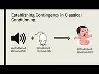 Video thumbnail for Contiguity and Contingency in Classical and Operant Conditioning