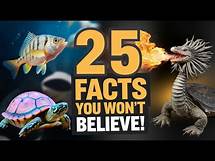 Video thumbnail for 25 Facts That Sound Fake But Are Actually True