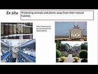 Video thumbnail for 4.2.1 Biodiversity h) in situ and ex situ conservation