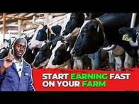 Video thumbnail for Thrive on Your Cattle Farm with These Proven Principles!