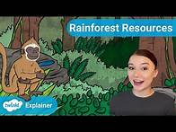 Video thumbnail for KS2 Rainforest Resources