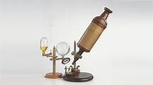 Video thumbnail for Cell measurement - Cell structure - AQA  - GCSE Combined Science Revision - AQA Trilogy - BBC Bitesize