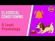 Video thumbnail for A Level Psychology - Classical Conditioning