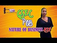 Video thumbnail for Nature of Business PT1 (POB CSEC Lecture series)