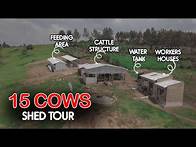 Video thumbnail for Step Inside the 15-Cow Shed That’s Transforming Our Dairy Farm!