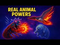Video thumbnail for 10 Superpowered Animals That Actually Exist