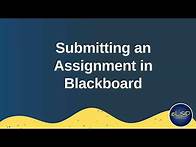 Video thumbnail for Submitting an Assignment in Blackboard