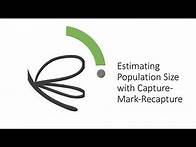 Video thumbnail for Capture Mark Recapture Method for Population Size Estimate