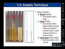 Video thumbnail for Quiz 1 Review