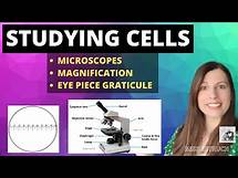 Video thumbnail for How to study cells - Microscopes, magnification and calibrating the eyepiece graticule