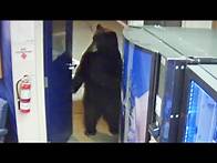 Video thumbnail for Bear Opens Door to California Police Facility and Walks Around Inside