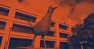 Video thumbnail for Graduate Admissions - UTSA Admissions