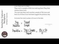 Video thumbnail for Sampling: Capture-Recapture (Grade 7) - OnMaths GCSE Maths Revision