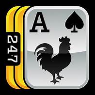 Video thumbnail for 247 Solitaire - Freecell, Spider Solitaire, and more!