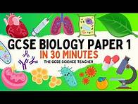 Video thumbnail for All of GCSE BIOLOGY Paper 1 in 30 minutes | The GCSE Science Teacher