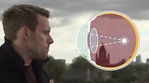 Video thumbnail for Biology revision for GCSE - Video playlist - BBC Bitesize