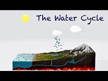 Video thumbnail for The Water Cycle Explained For Kids- Animation