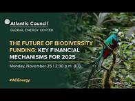 Video thumbnail for The future of biodiversity funding: Key financial mechanisms for 2025