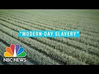 Video thumbnail for Modern-Day Slavery Ring Busted In GA: How Federal H-2A Visa Programs Can Lead To Exploitation