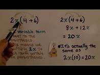 Video thumbnail for 8th Grade Math 7.3a, Using the Distributive Property With Equations