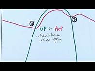 Video thumbnail for AS Biology - Cardiac cycle (OCR A Chapter 8.5)