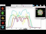 Video thumbnail for plot profile intensity for four fluorescent image in ImageJ |how to plot profile intensity in imageJ