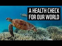 Video thumbnail for A health check for our world | Living Planet Report 2024 | WWF