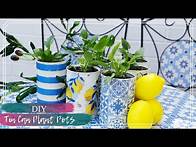 Video thumbnail for DIY Tin Can Plant Pots | Transforming Tin Cans into Planters | Upcycle Your Rubbish