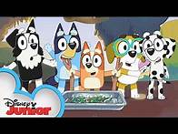 Video thumbnail for Get Ready to Sing Along! 🎶 | Bluey | Disney Junior