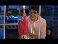 Video thumbnail for Fun K-8 Science Lessons with Activities, Teacher Resources, and More