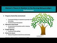 Video thumbnail for Jean Watson's The Science of Human Caring