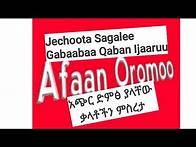 Video thumbnail for JECHOOTA SAGALEE GABAABAA QABAN-እጭር ድምፅ ያላቸው ቃላቶች part #10