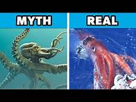 Video thumbnail for Top 10 Historical Myths That Turned Out to Be True