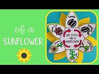 Video thumbnail for Life cycle of a sunflower plant activity for kids - free digital download