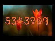 Video thumbnail for Flower Numbers from 1 to 10 Millions!!!