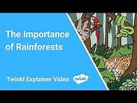 Video thumbnail for The Importance of Rainforests