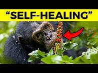 Video thumbnail for 100 Strangest Facts Guaranteed to Blow Your Mind