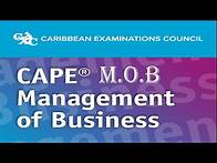 Video thumbnail for Management of Business: Types of Economic Activity