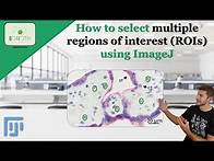 Video thumbnail for How to select multiple regions of interest (ROIs) using ImageJ Fiji #multiple #ROI #imagej #fiji
