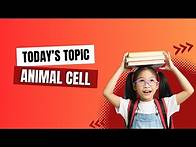 Video thumbnail for Animal Cells | Structure & Functions Explained!