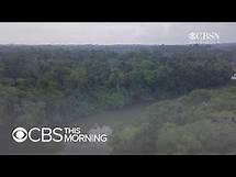 Video thumbnail for What's behind the destruction of the Amazon rainforest
