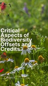 Video thumbnail for Biodiversity Offsets and Credits