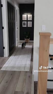 Video thumbnail for Hallway Inspo: Transform Your Space with Black Doors and Paint