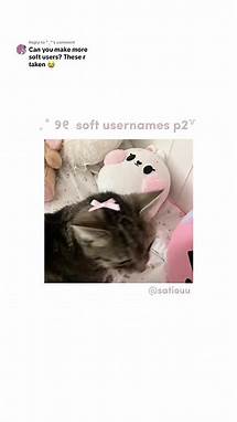 Video thumbnail for Soft Aesthetic Username Ideas Compilation for TikTok and Instagram